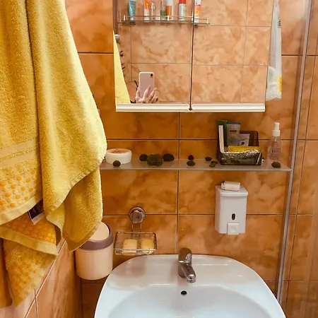 студия мир авангарда *