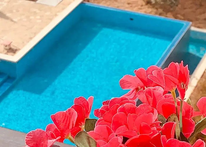 Apartman студия мир авангарда